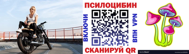 Галлюциногенные грибы прущие грибы  Купить  Реж 